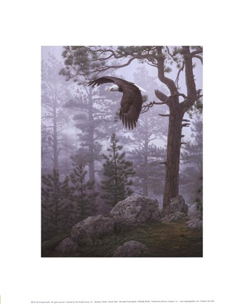 Framed Shrouded Forest (detail) Print