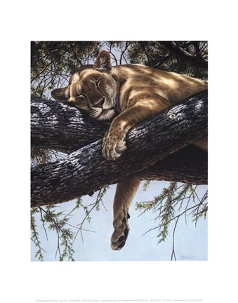 Framed Lake Manyara Lioness Print
