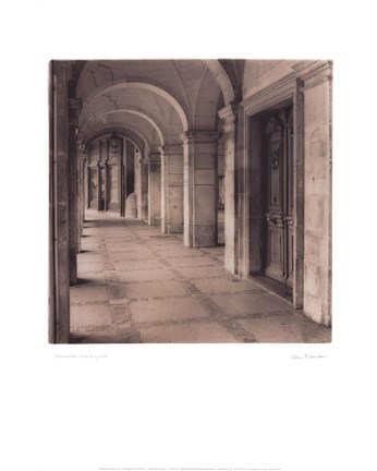 Framed Salamanca, Castilla y Leon Print