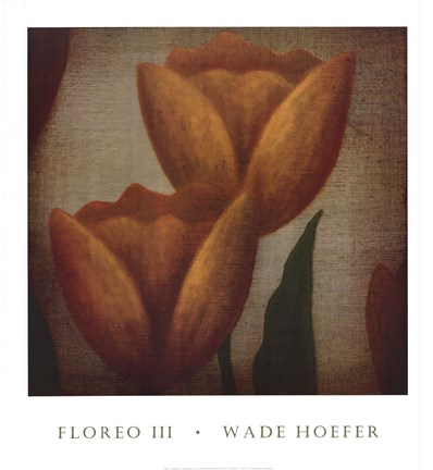 Framed Floreo III Print