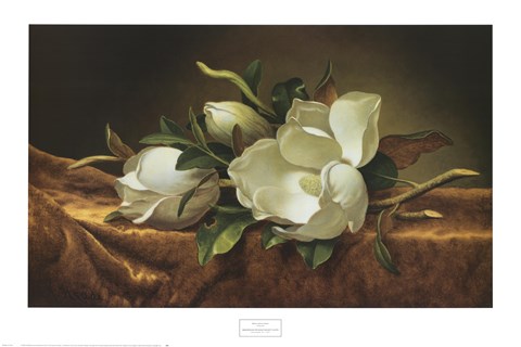 Framed Magnolias on Gold Velvet Cloth Print