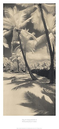 Framed Palm Shadows II Print