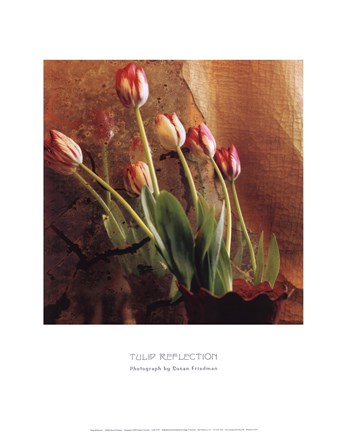 Framed Tulip Reflection Print