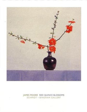 Framed Red Quince Blossoms Print