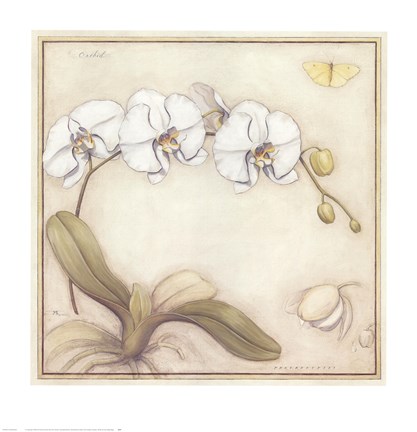 Framed White Orchid Print