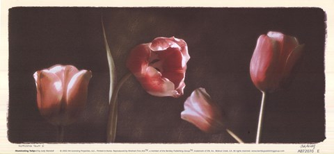 Framed Illuminating Tulips I Print