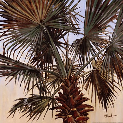 Framed Solitary Palm Print