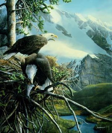 Framed Eagles in Nest Print