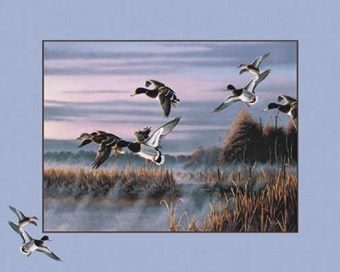 Framed Ducks in Flight Print