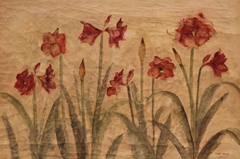 Framed Row of Red Amaryllis Print