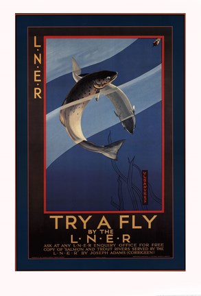 Framed Trout - try a fly Print