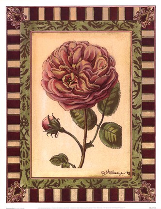 Framed Renaissance Rose II Print