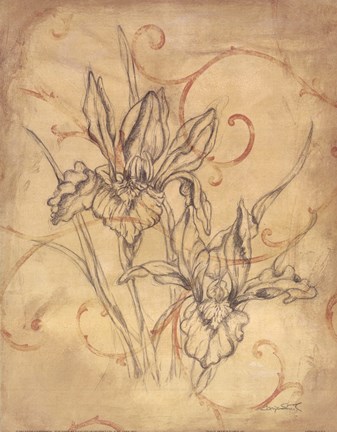 Framed Pencil Sketch Floral III Print