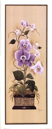 Framed Orchid I Print