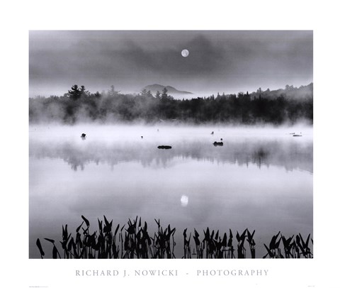 Framed Lake Flower Moonset Print