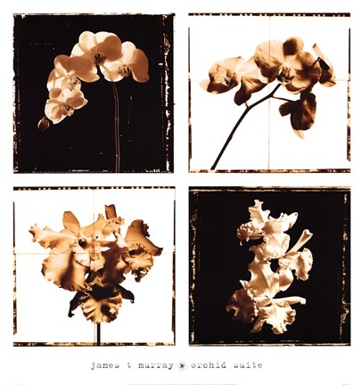Framed Orchid Suite Print