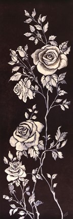 Framed Ivory Roses II Print