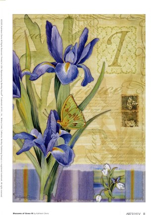 Framed Blossoms Of Grace III Print