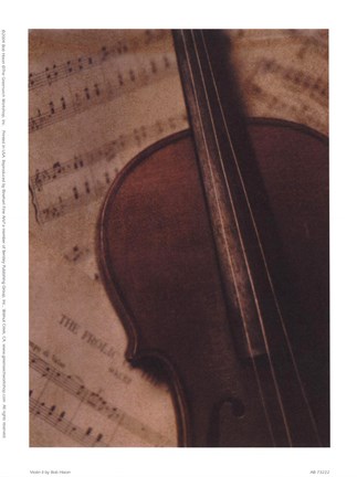 Framed Violin II Print