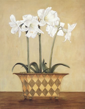 Framed Amaryllis In Checkered Vase Print