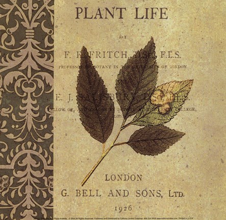Framed Botany Principles II Print