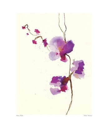 Framed Velvet Orchid Print