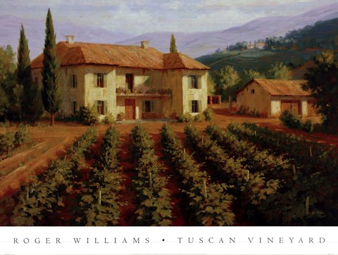 Framed Tuscan Vineyard Print