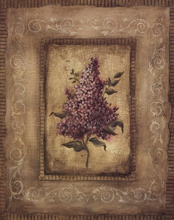 Framed Savin Lilac Print