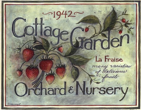 Framed Cottage Garden I Print