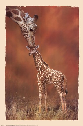 Framed Giraffe Kiss Print