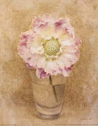 Framed Scabiosa Blossom In Glass Print