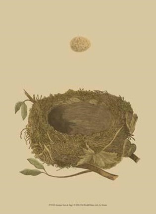 Framed Antique Nest Egg I Print