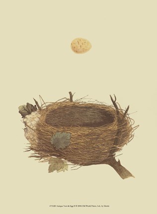 Framed Antique Nest Egg II Print