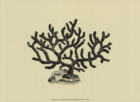 Framed Coral On Khaki III Print