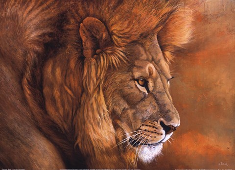 Framed Lion Du Serengeti Print