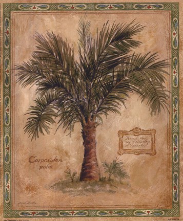 Framed Palm Carpoxylon Print