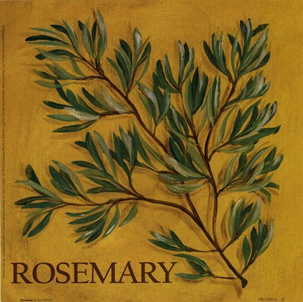 Framed Rosemary Print