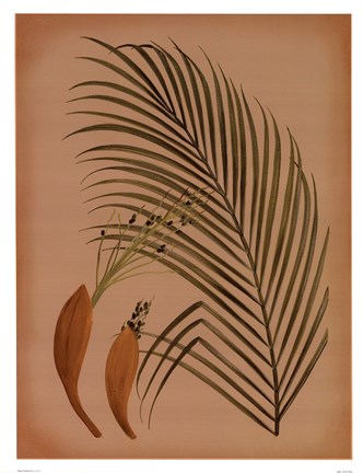 Framed Palm Frond IV Print