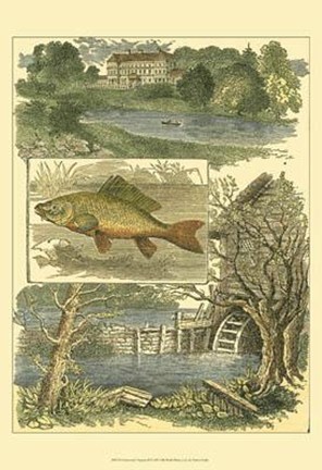 Framed Fisherman&#39;s Vignette II Print