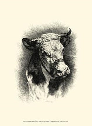 Framed Antique Cattle I Print