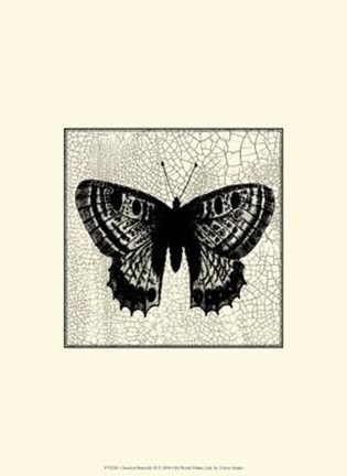 Framed Classical Butterfly II Print