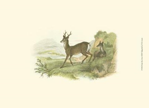 Framed Petite Row Deer Print