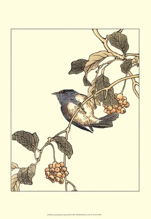 Framed Oriental Bird On Branch III Print