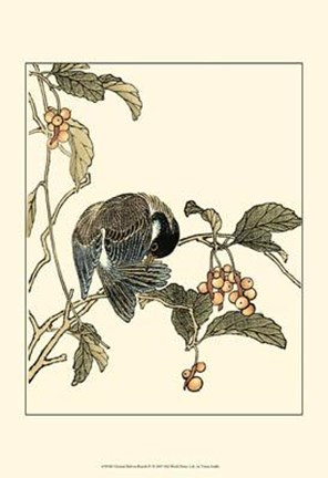 Framed Oriental Bird On Branch IV Print