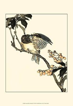 Framed Oriental Bird On Branch V Print