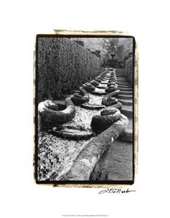 Framed Italian Garden IV Print