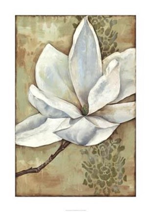 Framed Magnolia Majesty II Print