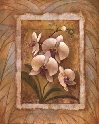 Framed Illuminated Orchid II Print