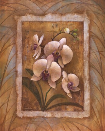 Framed Illuminated Orchid II Print