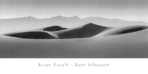 Framed Dune Silhouette Print